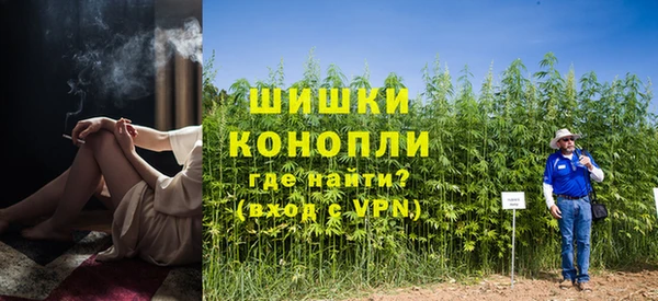 ГАЛЛЮЦИНОГЕННЫЕ ГРИБЫ Алзамай