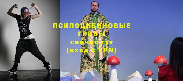 ГАЛЛЮЦИНОГЕННЫЕ ГРИБЫ Алзамай