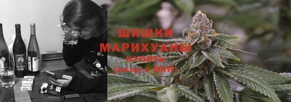 спайс Алексин